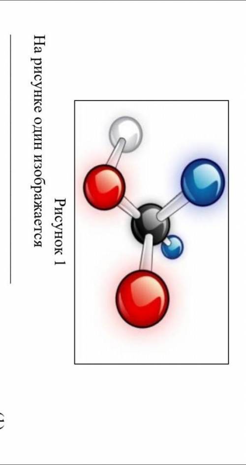 2.Определите, что изображено на рисунке 1. Рисунок 1На рисунке один изображается ​