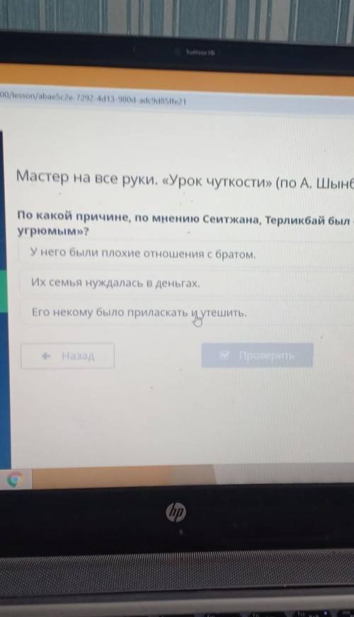 Мастер на все руки. «Урок чуткости» (по А. Шынбатырову) По какой причине, по мнению Сейтжана, Терлик