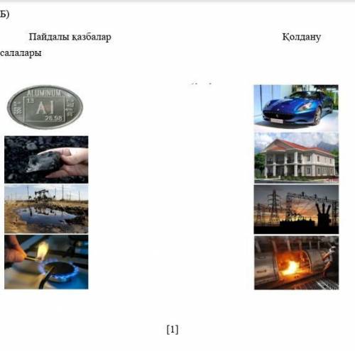 Пайдалы казбалар колдану