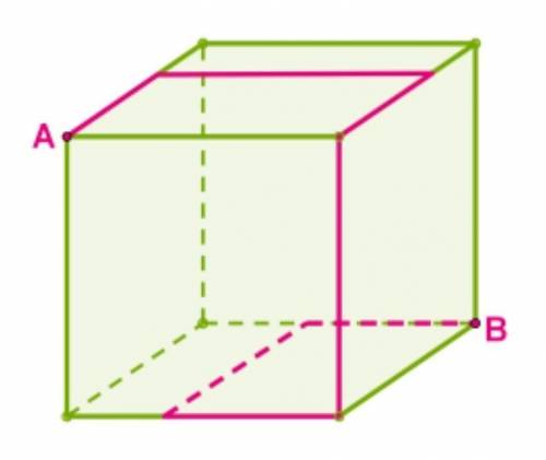 Муха ползает по поверхности куба вдоль красной линии от точки A к точке B. Определи длину проделанно