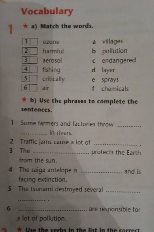 Match the words and use the phrases to complete the sentence​