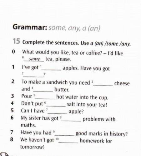 15. complete the sentences. Use a (an) /some /any​