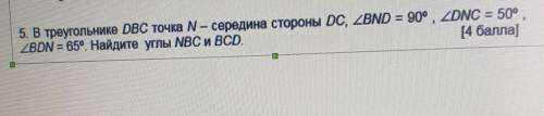 5. В треугольнике DBC точка N — середина стороны DC, BND = 90°, DNC = 50° BDN = 65°. Найдите углы NB