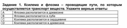 Задание 1. Ксилема и флоэма – проводящие пути, по которым осуществляется транспорт веществ. Укажите