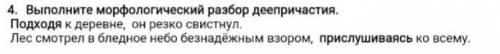 Выполните морфологический разбор деепричастия​