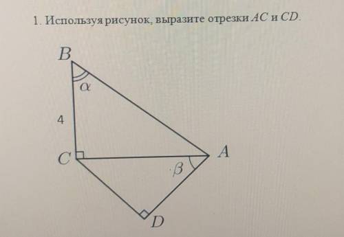 1. Используя рисунок, выразите отрезки AC и CD.​