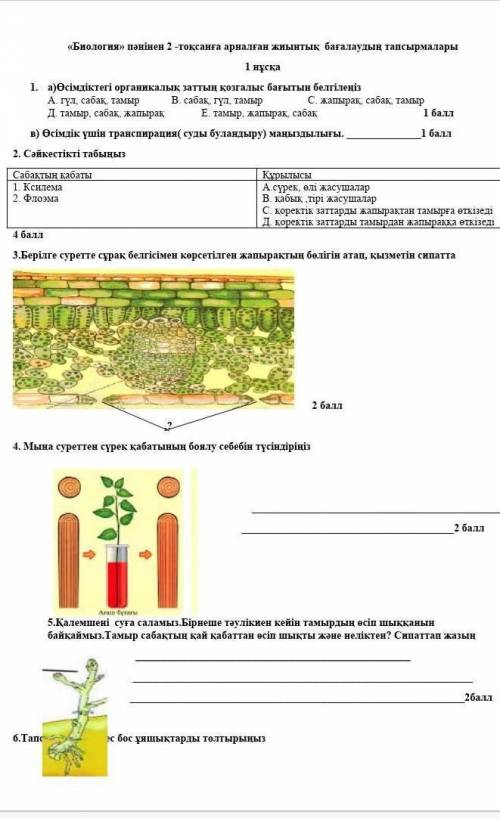 7 сынып биология тжб 2 токсан керек