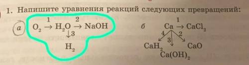 только то что обведено​