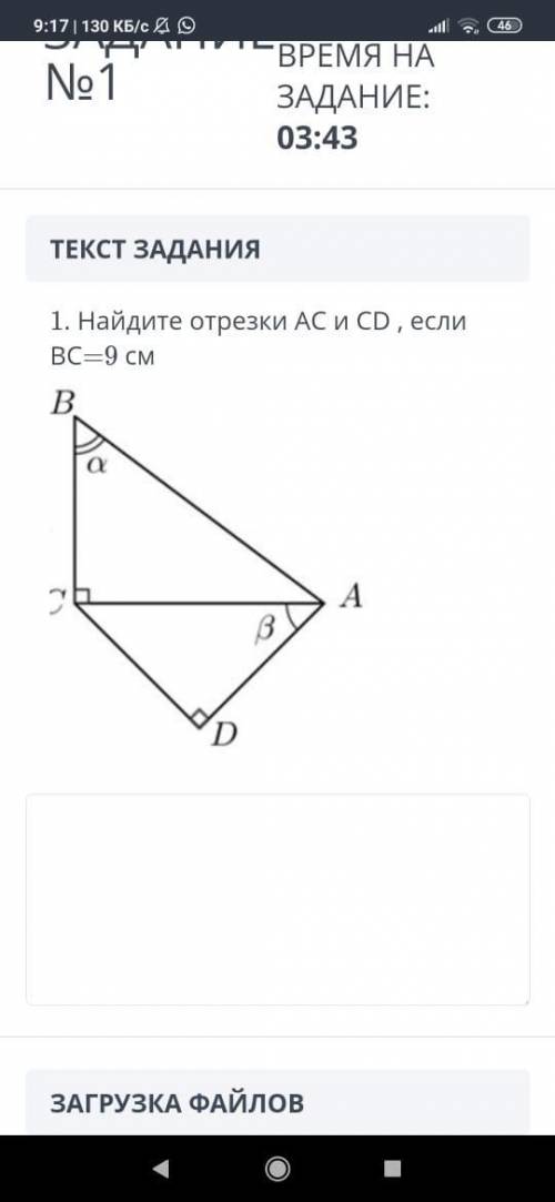 Найдите отрезки AC и CD если BC=9 см