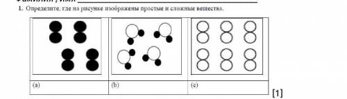 Э1. Определите, где на рисунке изображены простые и сложные вещества​