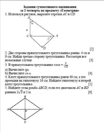 Используя рисунок, выразите отрезки AС и СD. [2] 2. Две стороны прямоугольного треугольника равны: 4
