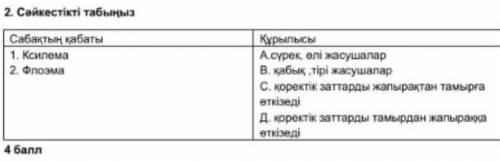 2. Сәйкестікті табыңыз Сабақтың кабаты 1. Ксилема 2. Флоэма​