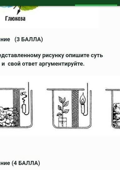 По представленному рисунку опишите суть опыта и свой отвер аргументируйте​