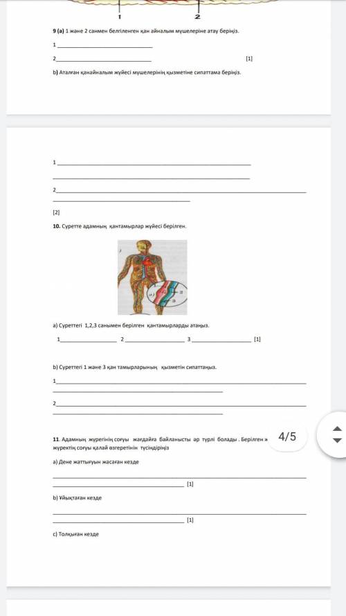 1.идентифицируйте связь между внутренней средой организма человека и выполняемыми функциями.