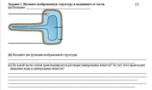 Назовите изображенных структуру, подпишите её части ​