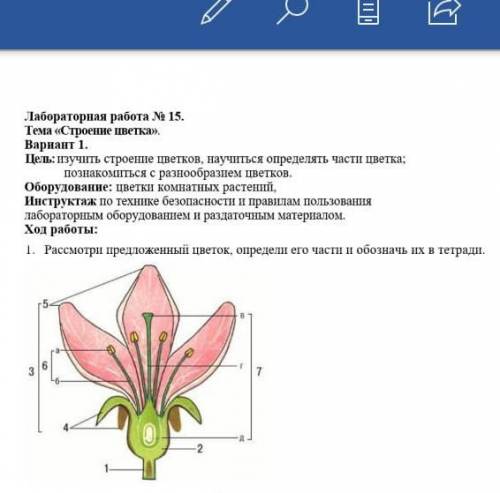 И напишите, рисунок зарисовывать в тетр? ​