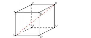 соч, даю все свои Если в кубе ABCDA'B'C'D 'сторона AB равна 6 см, то найдите длину диагонали A'C.