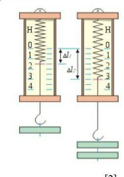 7. На рисунке представлена схема определения жесткости пружины. a) Определите вес груза на 2м динамо