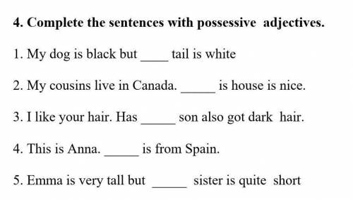 4. Complete the sentences with possessive adjectives. 1. My dog is black but tail is white2. My cou