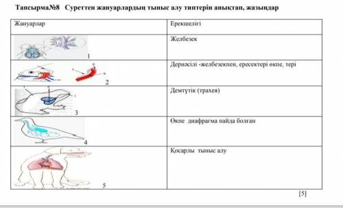 БИОЛОГИЯ 7 СЫНЫП ТЖБ 2 ТОКСАН ​