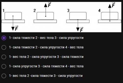 На каком рисунке изображен вес тела? На каком сила тяжести? На каком сила упругости?