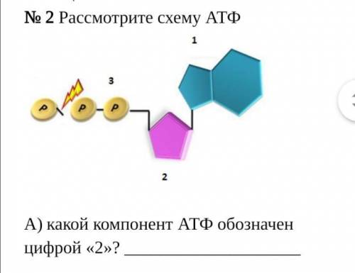 Кто напишет не по теме кину жалобу 10 класс