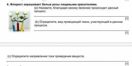 Флорист окрашивает белые розы пищевыми красителями. (a) Назовите, благодаря какому явлению происходи