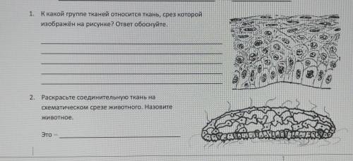 прощу вас, очень нужно. Буду очень благодарна ​