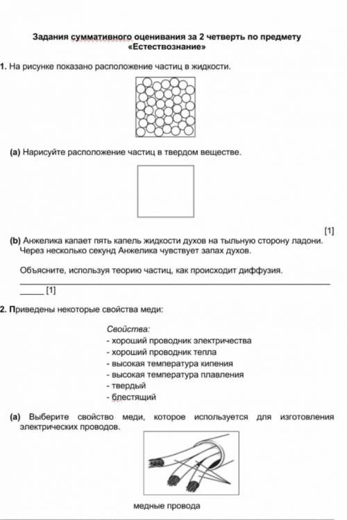 Соч по естествознания 2 четверть 5 класс​