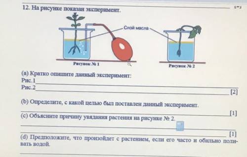 очень нужно 12. На рисунке показан эксперимент. Слой масла - Рисунок м2 Рисунок 1 (а) Кратко опишите