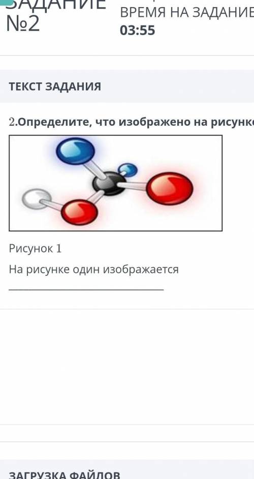 2. Определите, что показано на рисунке 1. Рисунок 1На рисунке 1 показаноЗАГРУЗКА ФАЙЛОВДобавить файл