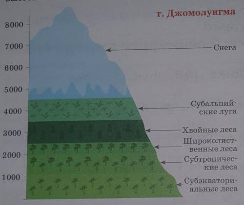 Очень география 8 классзадание : сравните высотную поясность Гималаев и Алтая. Где и почему мы наблю