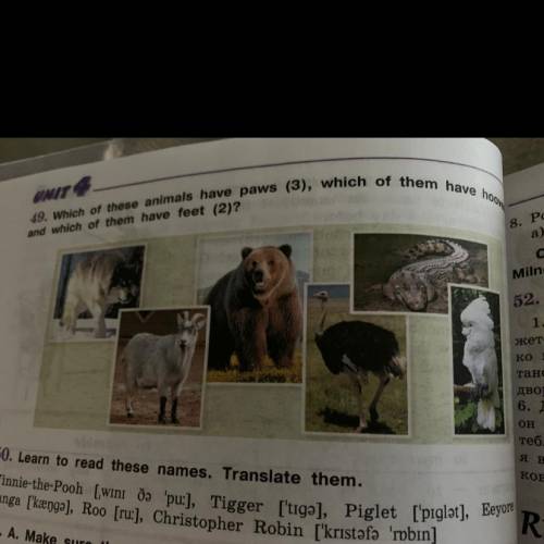 49. Which of these animals have paws (3), which of them have hooves (1) and which of them have feet