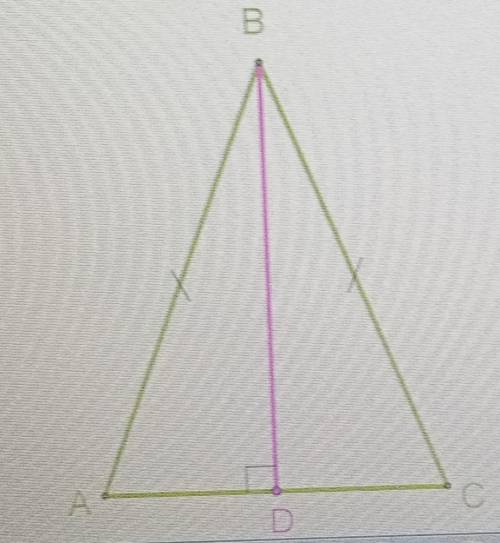 В равнобедренного треугольнике ABC высотой к основанию AC, длинна основания ровна 23 см, угол CBD=26