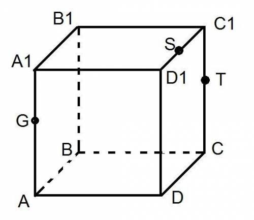 Построить сечение куба через точки S, T, G.