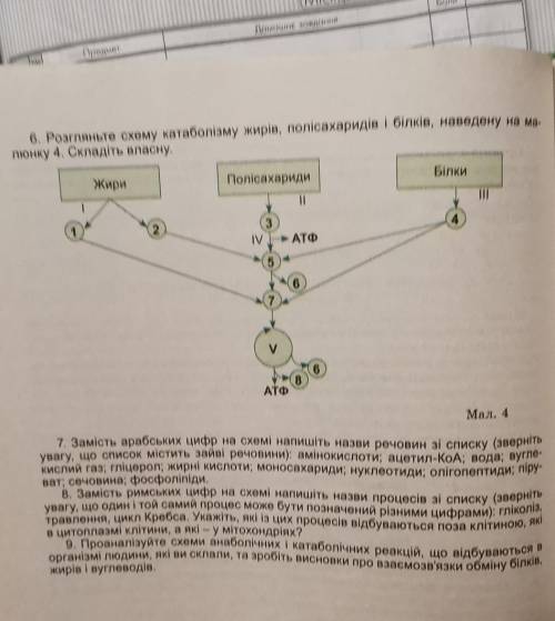 Ну зробіть будь ласка практичну. Ну будь ласочка на завтра умоляю​