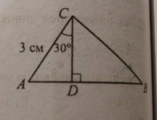 1.13. На рисунку зображено прямокутний три- кутник ABC з гіпотенузою AB, відрізок CD -даного трикутн