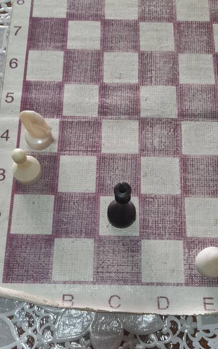 Белые:Кр е1;К а4;пешка а3.Чёрные:Кр с2. Ход белых,смогут ли они выиграть?​