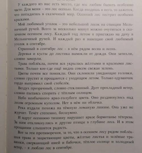 Напишите рецензию на это сочинение, объемом в 10-12 предложений.