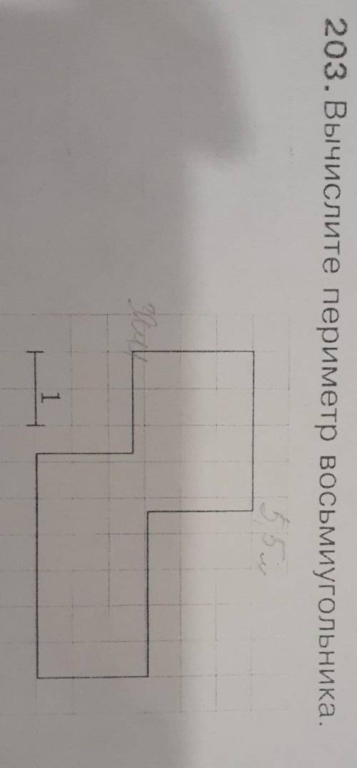 203. Вычислите периметр восьмиугольника. 5 класс​