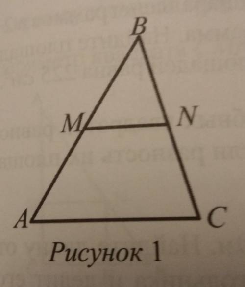 пля. В треугольнике ABC, MN является средней линией. найдите отношение S треугольника MBN : S AMNC.​