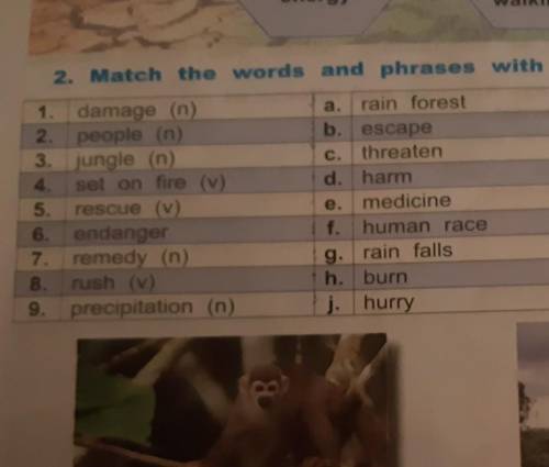 2. Match the words and phrases with their synonyms. damage (n)a.rain forest2. people (n)b. escape3.