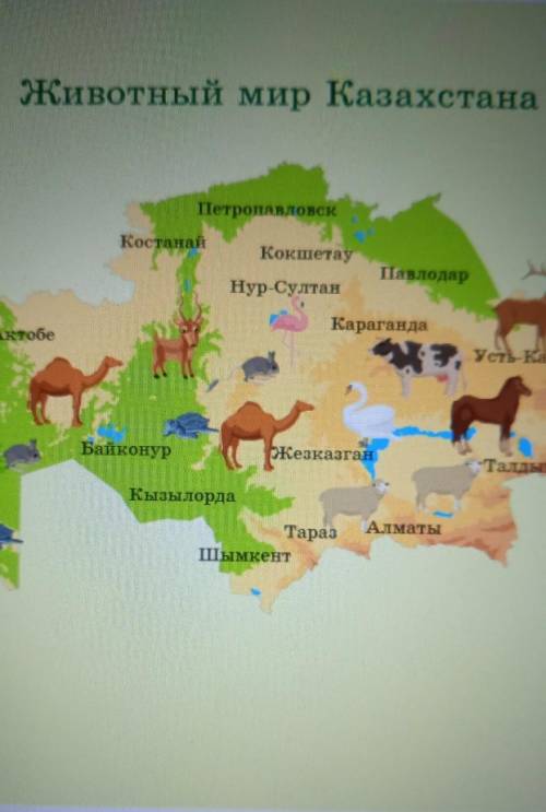 Определи, какая информация является в тексте главнойживотный мир Казахстанапромышленность Казахстана