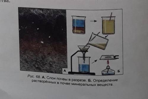 это сделать пересказ своими словами обьсните опыт ​