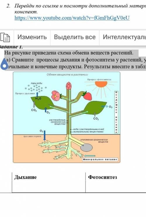 На рисунке приведена схема обмена веществ растений. (а) Сравните процессы дыхания и фотосинтеза у ра