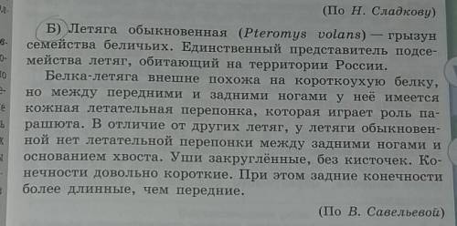 К какой функциональности разновидности языка можно отнести текст? свою точку зрения обоснуйте