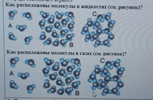 Как расположены молекулы в жидкостях (см. рисунок)? C сдоКак расположены молекулы в газах (см. рисун