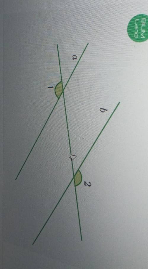Определи, параллельны ли прямые а и b, изображенные на рисунке.да или нет ​