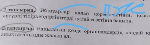 2-тапсырма. Бақылаған кезде организмдердің қандай қасиеттерінанықтағаныңды жазып ал.​