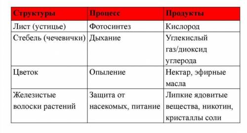 3. Заполните таблицу. 46 Процесс Продукты Структуры Лист (устицье) Цветок Стебель (чечевички) Желези